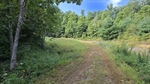 Road to the Barn