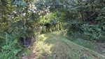 Interior Trail