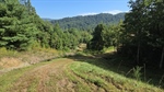 Road From the Shed