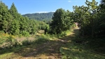 Road From the Shed