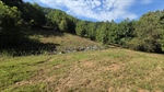 Lower Pasture