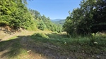 Road From the Shed