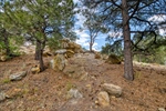 DSC_6928_HDR 1