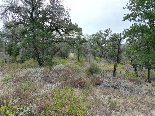 209 Timber Pl Lot 28, La Vernia, TX 78121