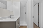 Lower level bathroom