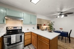 18-web-or-mls-12109 Copper Mountain Dr-18