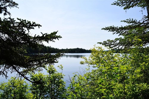 Ms03l Middle Carry Pond Rd,  Carrying Place Township, ME 04961