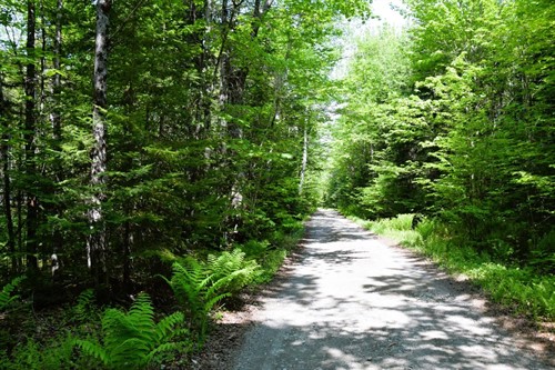 Ms03l17 3 Carry Pond Rd,  Carrying Place Township, ME 04961