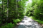 Ms03l17 3 Carry Pond Rd,  Carrying Place Township, ME 04961