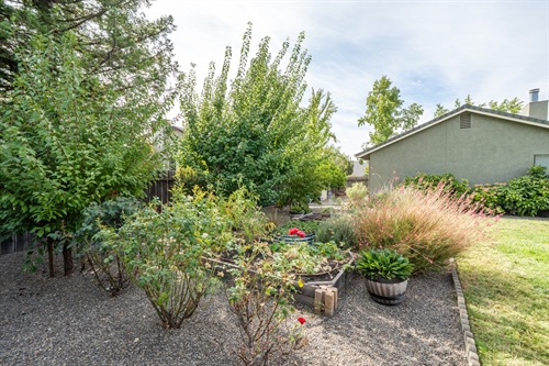 2238 Cilantro Dr-57