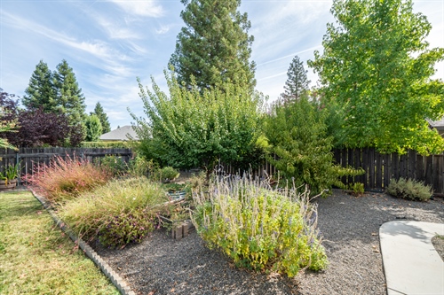 2238 Cilantro Dr-55