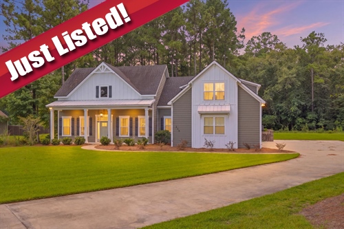 225 Maddy Way,  Richmond Hill, GA 31324