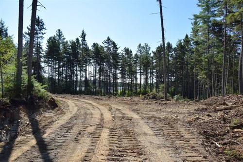 Ms03l17 3 Middle Carry Pond Rd, Carrying Place Township, ME 04961