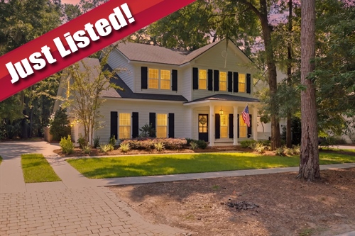 113 Ridgewood Park Drive S,  Richmond Hill, GA 31324
