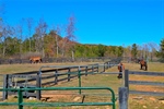 Paddocks