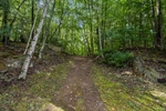 Image 33 of 46