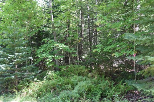 M11 1 Nelson Hill Rd,  Athens, ME 04912