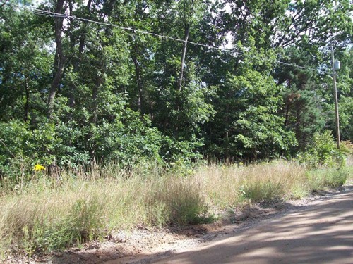 Maryland St Lot 137,  Harrison, MI 48625