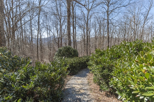 Native landscaping