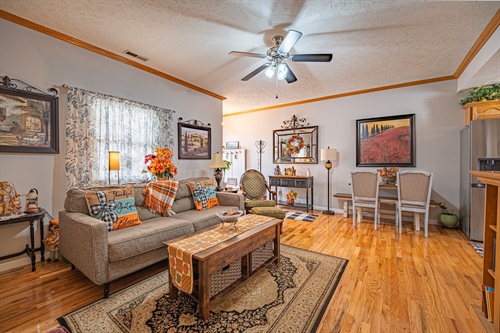 Living Room 2