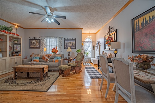 Living Room 3