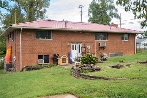 backyard 3