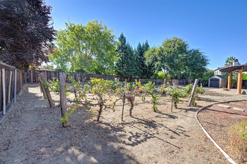 4095 Kingsbarns Drive Roseville CA 95747 backyard from vineyard by fence gr121