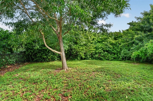 34-web-or-mls-P1380969