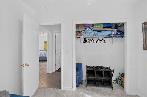 29-web-or-mls-P1380944