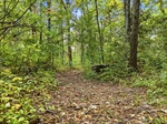photos_web_resolution_7_Spruce_Point_Rd_229