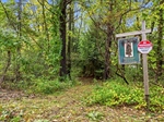 photos_web_resolution_7_Spruce_Point_Rd_228