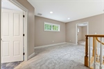 photos_web_resolution_7_Spruce_Point_Rd_183
