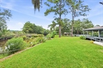 Views from the left side of the yard and home.