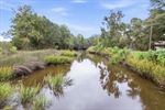 Take the creek out to the Little Ogeechee.