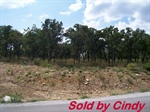 362 Moonlight Bay Drive,  Chico, TX 76431