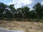 From Road 3
