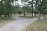 Heavily Wooded