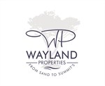 Wayland Properties