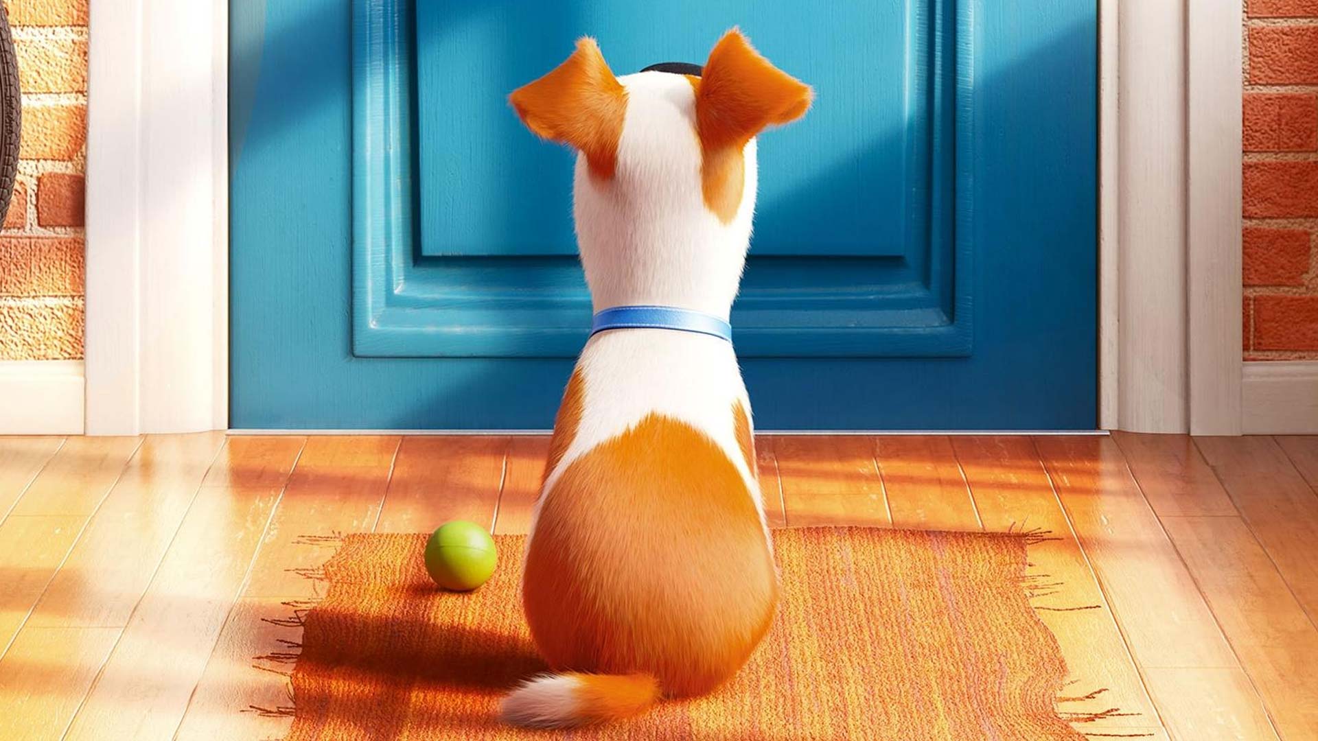 The secret life of pets 2016 after the credits mediastinger