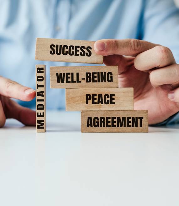 the role of the mediator in maintaining stability in life
