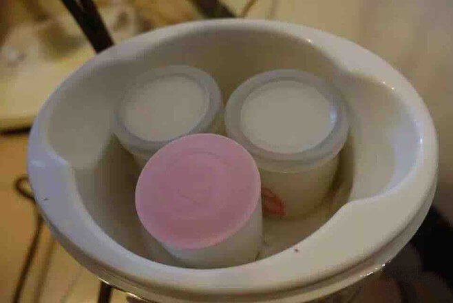 Because I have two yogurt machines, I can make 6 bottles at a time