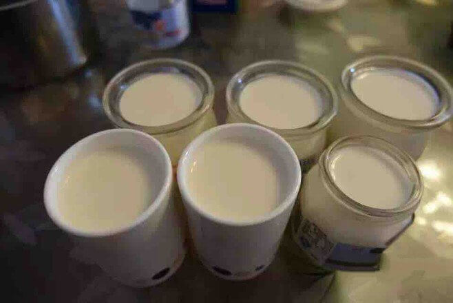 Pack the yogurt
