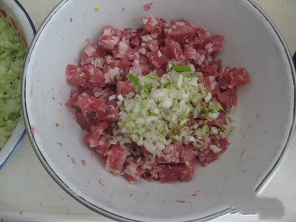 Stir-fried pork with soy sauce