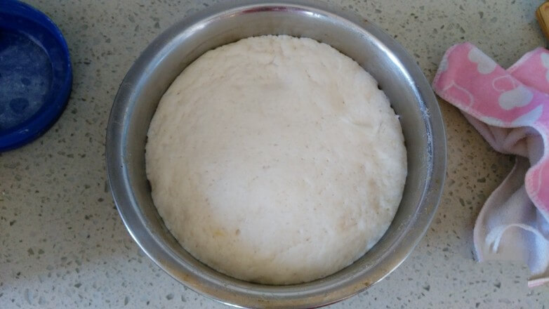 Ferment the dough to twice its original size
