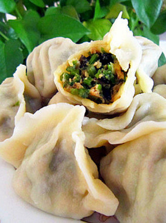 Dumplings with Celery Filling