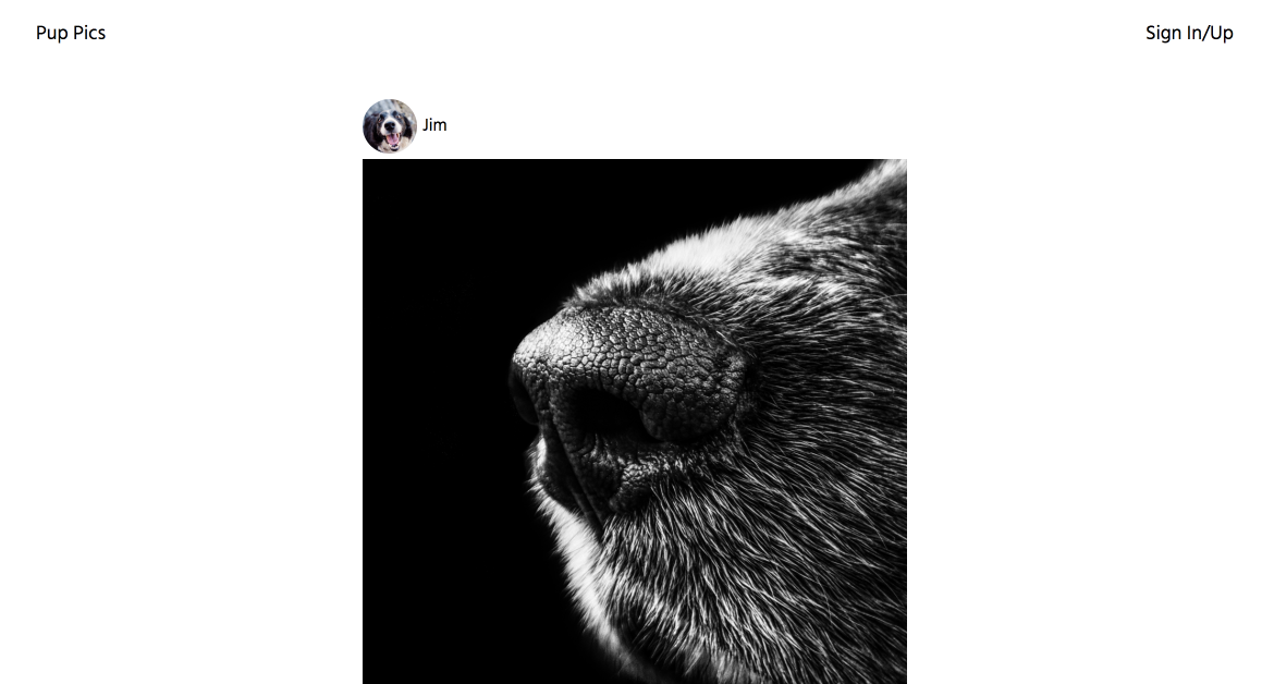 pup pics home page