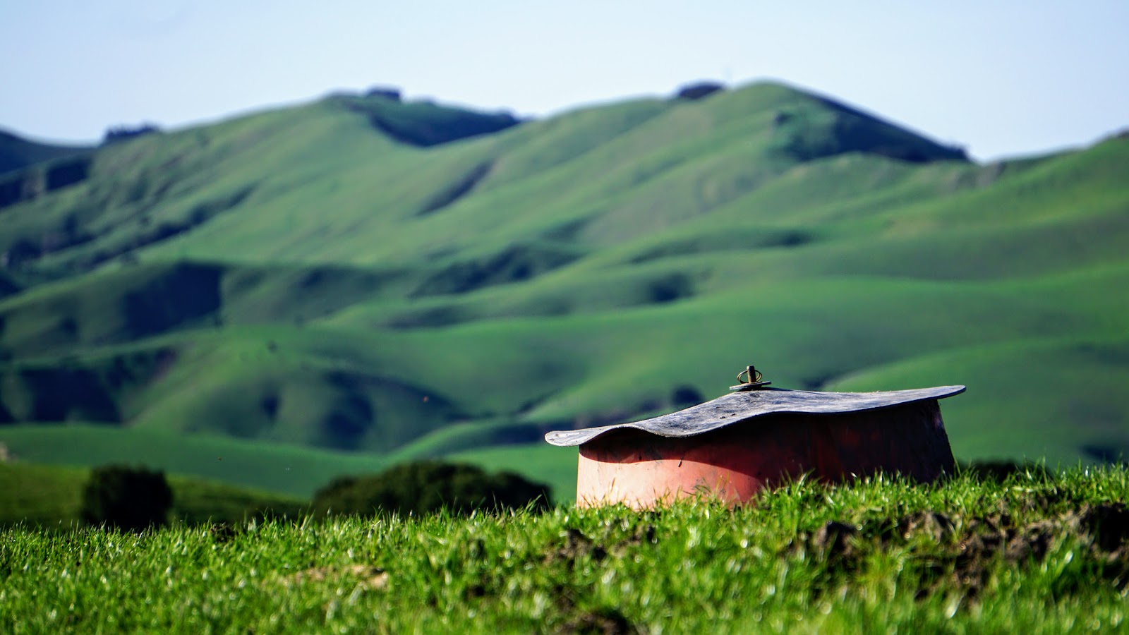 san ramon california on nursefly 81 100