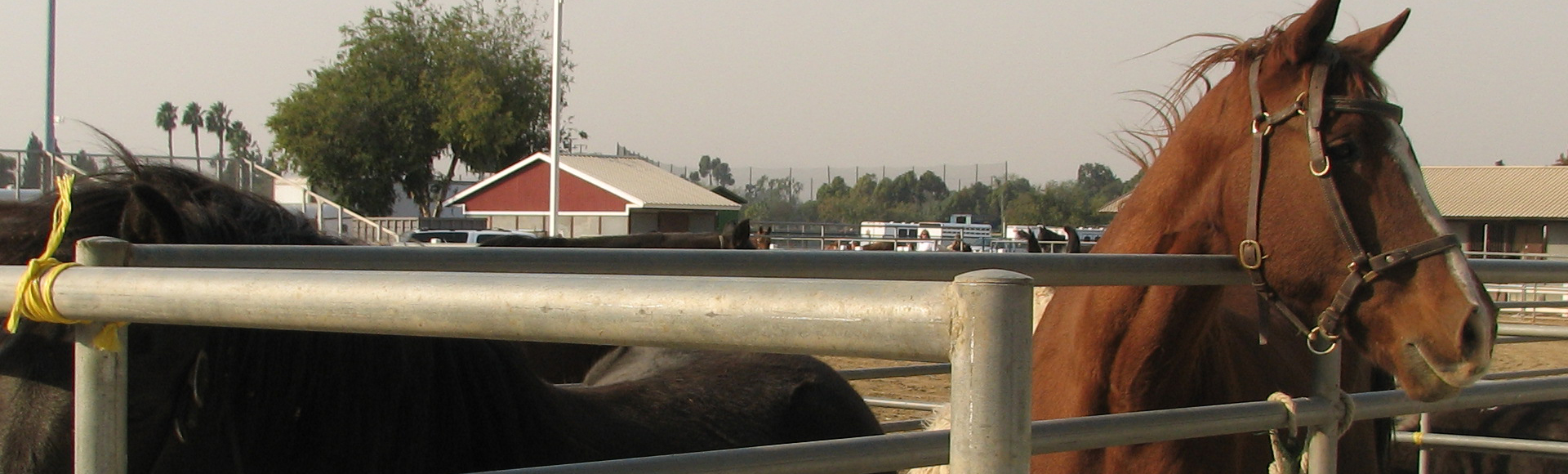 Equestrian Center at OC Fair & Event Center OC Fair & Event Center