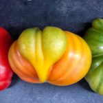 The Heart of an Heirloom Tomato by Patti Stone