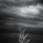 Solitude by Greg Hayes